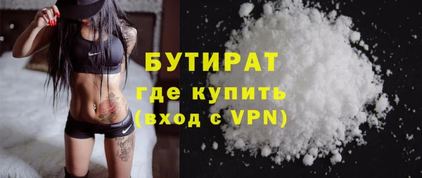 гидра Няндома