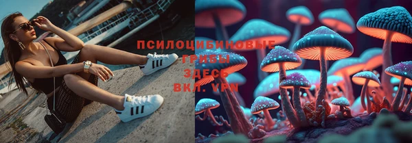 меф Беломорск