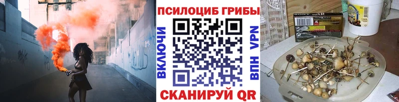 Псилоцибиновые грибы Psilocybine cubensis  Реутов 